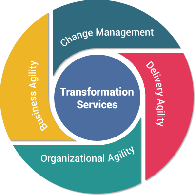 Expert Guidance in Scaling Agility